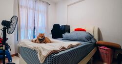 Blk 413C Waterfront I @ Northshore (Punggol), HDB 3 Rooms #551264961